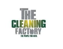 Logo Cleaning Factory